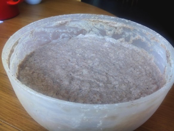 Sourdough starter